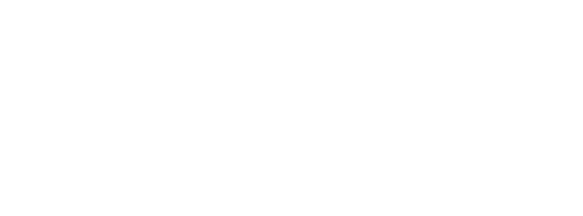Meet Polaris: Our New Chapter